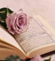 قرآن.jpg